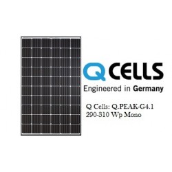 Q Cells Q.PEAK-G4.1 290-310